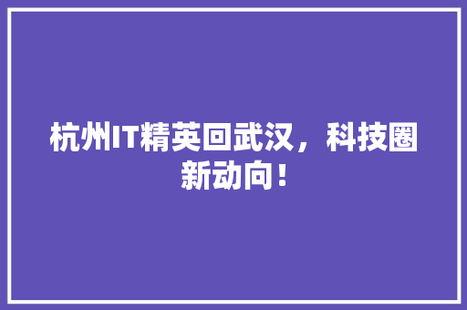 杭州IT精英回武汉，科技圈新动向！ SEO关键词
