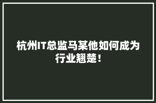 杭州IT总监马某他如何成为行业翘楚！ 搜狗SEO