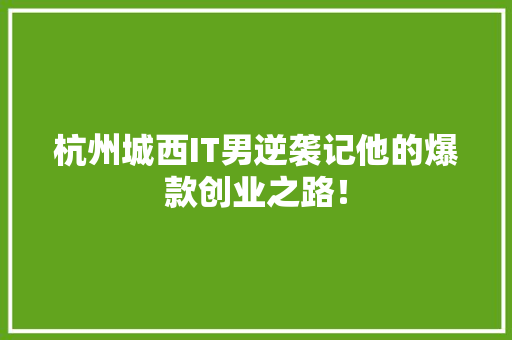 杭州城西IT男逆袭记他的爆款创业之路！ 网站建设公司