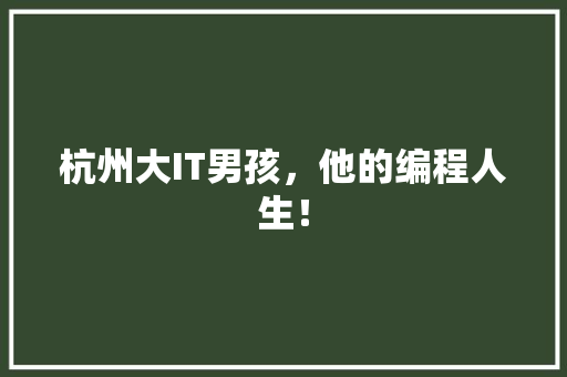 杭州大IT男孩，他的编程人生！ 百度SEO