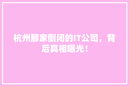 杭州那家倒闭的IT公司，背后真相曝光！ 神马SEO