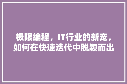 极限编程，IT行业的新宠，如何在快速迭代中脱颖而出！ 网站建设公司
