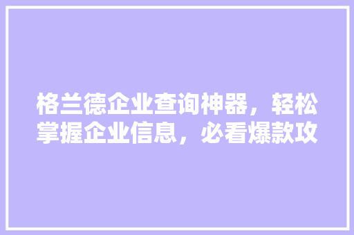格兰德企业查询神器，轻松掌握企业信息，必看爆款攻略！ 百度SEO