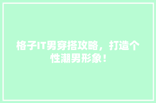 格子IT男穿搭攻略，打造个性潮男形象！ SEO关键词