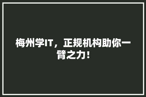 梅州学IT，正规机构助你一臂之力！ 搜狗SEO