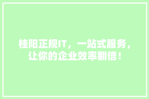 桂阳正规IT，一站式服务，让你的企业效率翻倍！ SEO关键词
