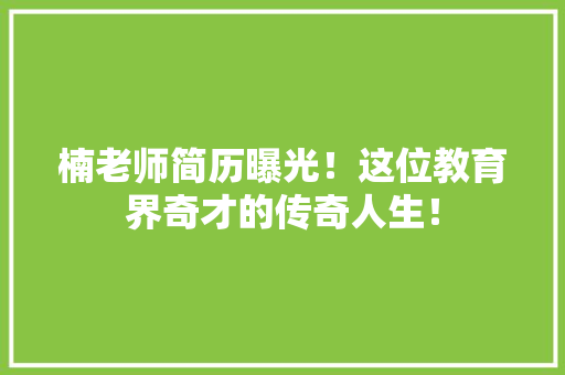 楠老师简历曝光！这位教育界奇才的传奇人生！ 百度SEO