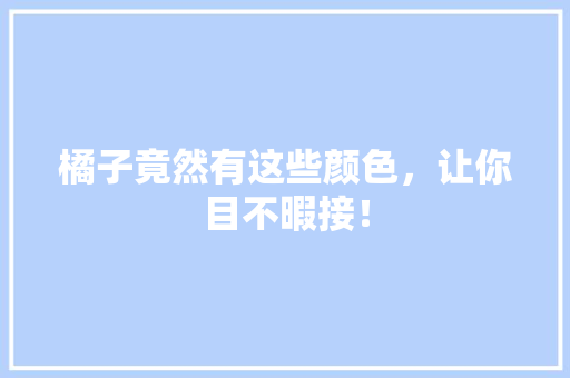橘子竟然有这些颜色，让你目不暇接！ 必应SEO