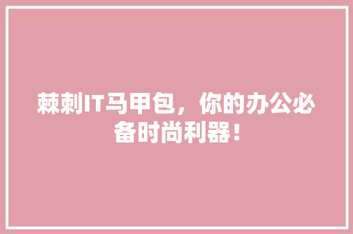 棘刺IT马甲包，你的办公必备时尚利器！ SEO关键词