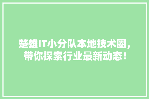 楚雄IT小分队本地技术圈，带你探索行业最新动态！ 必应SEO