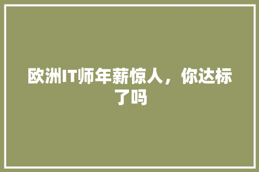 欧洲IT师年薪惊人，你达标了吗 SEO关键词