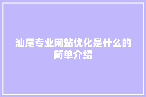汕尾专业网站优化是什么的简单介绍