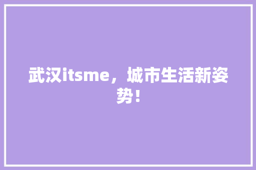 武汉itsme，城市生活新姿势！ 百度SEO