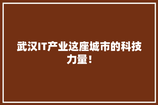 武汉IT产业这座城市的科技力量！ 百度SEO