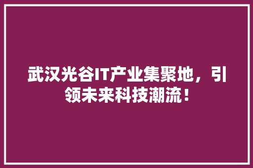 武汉光谷IT产业集聚地，引领未来科技潮流！ SEO关键词