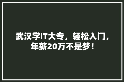 武汉学IT大专，轻松入门，年薪20万不是梦！ 搜狗SEO