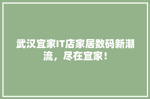 武汉宜家IT店家居数码新潮流，尽在宜家！ 网站建设公司