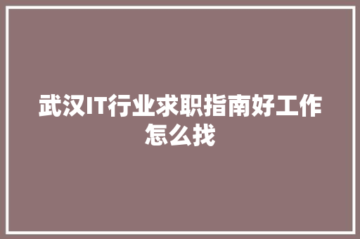 武汉IT行业求职指南好工作怎么找 网站建设公司