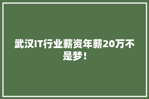 武汉IT行业薪资年薪20万不是梦！ 神马SEO