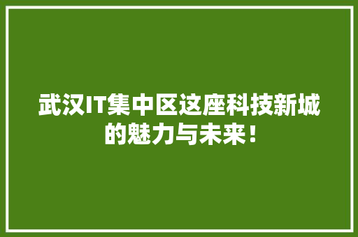 武汉IT集中区这座科技新城的魅力与未来！