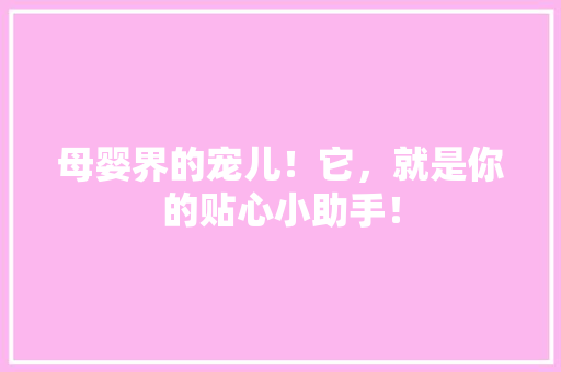 母婴界的宠儿！它，就是你的贴心小助手！ SEO关键词