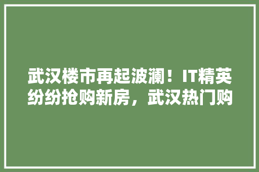 武汉楼市再起波澜！IT精英纷纷抢购新房，武汉热门购房地！ 必应SEO
