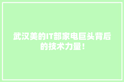 武汉美的IT部家电巨头背后的技术力量！ 百度SEO