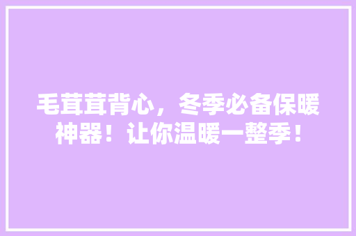 毛茸茸背心，冬季必备保暖神器！让你温暖一整季！ 搜狗SEO