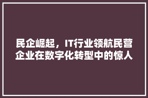 民企崛起，IT行业领航民营企业在数字化转型中的惊人实力！ 百度SEO