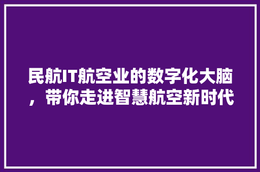 民航IT航空业的数字化大脑，带你走进智慧航空新时代！ 神马SEO