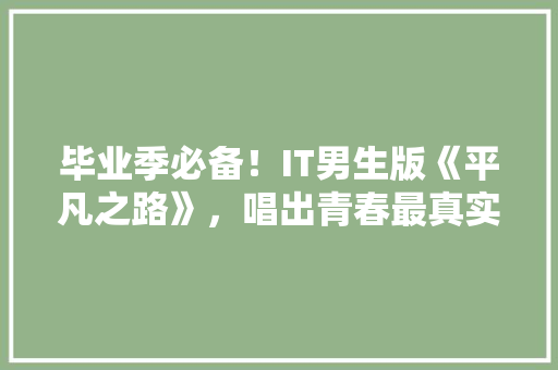 毕业季必备！IT男生版《平凡之路》，唱出青春最真实心声 搜狗SEO