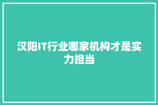 汉阳IT行业哪家机构才是实力担当 必应SEO