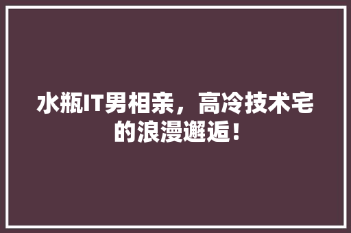 水瓶IT男相亲，高冷技术宅的浪漫邂逅！ SEO关键词