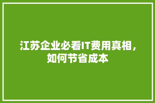 江苏企业必看IT费用真相，如何节省成本 神马SEO