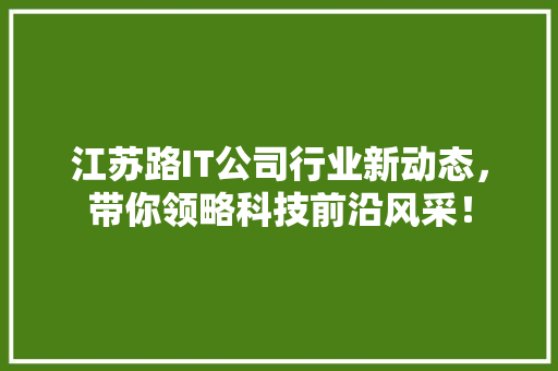 江苏路IT公司行业新动态，带你领略科技前沿风采！ 搜狗SEO