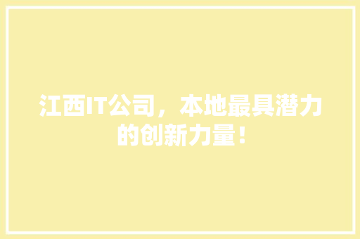 江西IT公司，本地最具潜力的创新力量！ 必应SEO