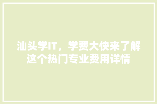 汕头学IT，学费大快来了解这个热门专业费用详情 SEO关键词