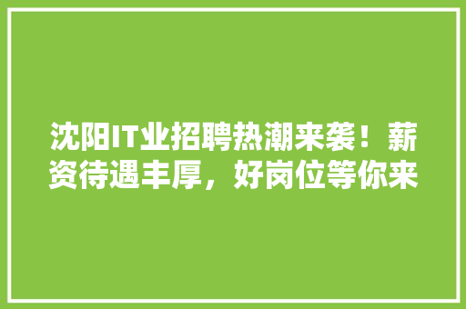 沈阳IT业招聘热潮来袭！薪资待遇丰厚，好岗位等你来挑！ 必应SEO
