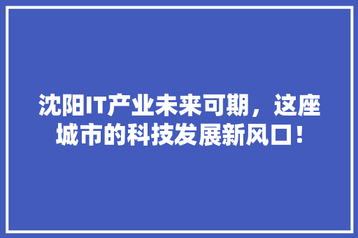 沈阳IT产业未来可期，这座城市的科技发展新风口！ 必应SEO