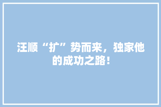 汪顺“扩”势而来，独家他的成功之路！ 百度SEO