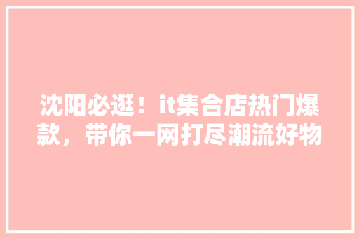 沈阳必逛！it集合店热门爆款，带你一网打尽潮流好物！ 神马SEO