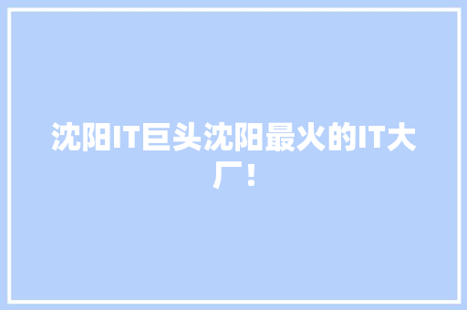 沈阳IT巨头沈阳最火的IT大厂！ 网站建设公司