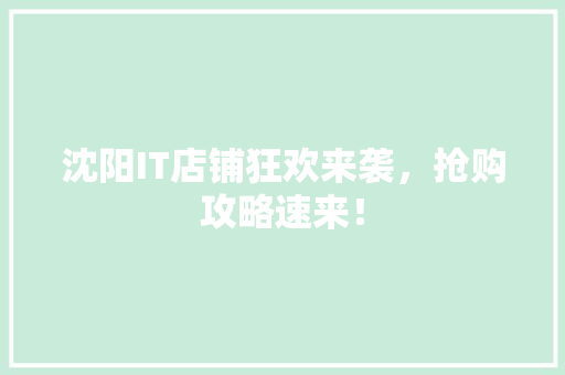 沈阳IT店铺狂欢来袭，抢购攻略速来！ 神马SEO