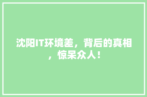 沈阳IT环境差，背后的真相，惊呆众人！