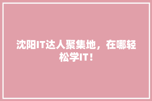 沈阳IT达人聚集地，在哪轻松学IT！ 必应SEO