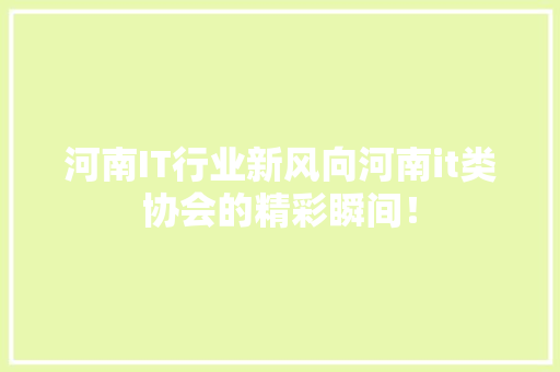 河南IT行业新风向河南it类协会的精彩瞬间！ 百度SEO