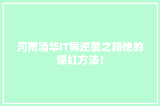 河南清华IT男逆袭之路他的爆红方法！ SEO关键词