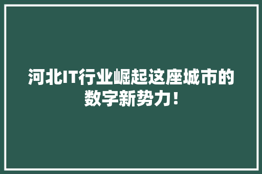 河北IT行业崛起这座城市的数字新势力！