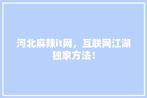 河北麻辣it网，互联网江湖独家方法！ 神马SEO