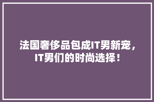 法国奢侈品包成IT男新宠，IT男们的时尚选择！ 搜狗SEO